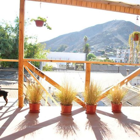 Hotel Boutique Molzano Copiapo Bagian luar foto